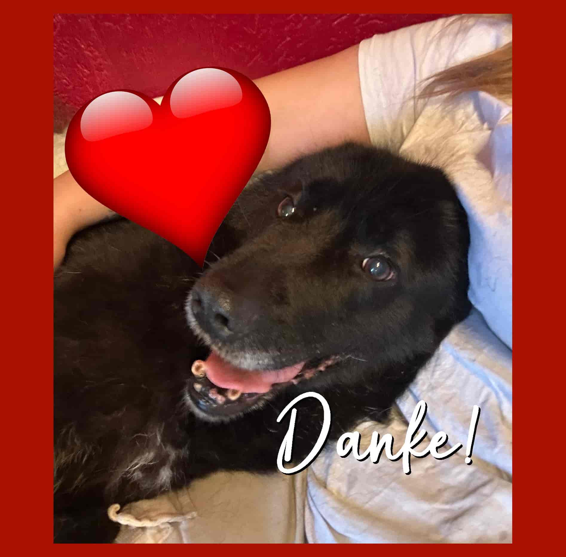 Nairas Herzensmenschen